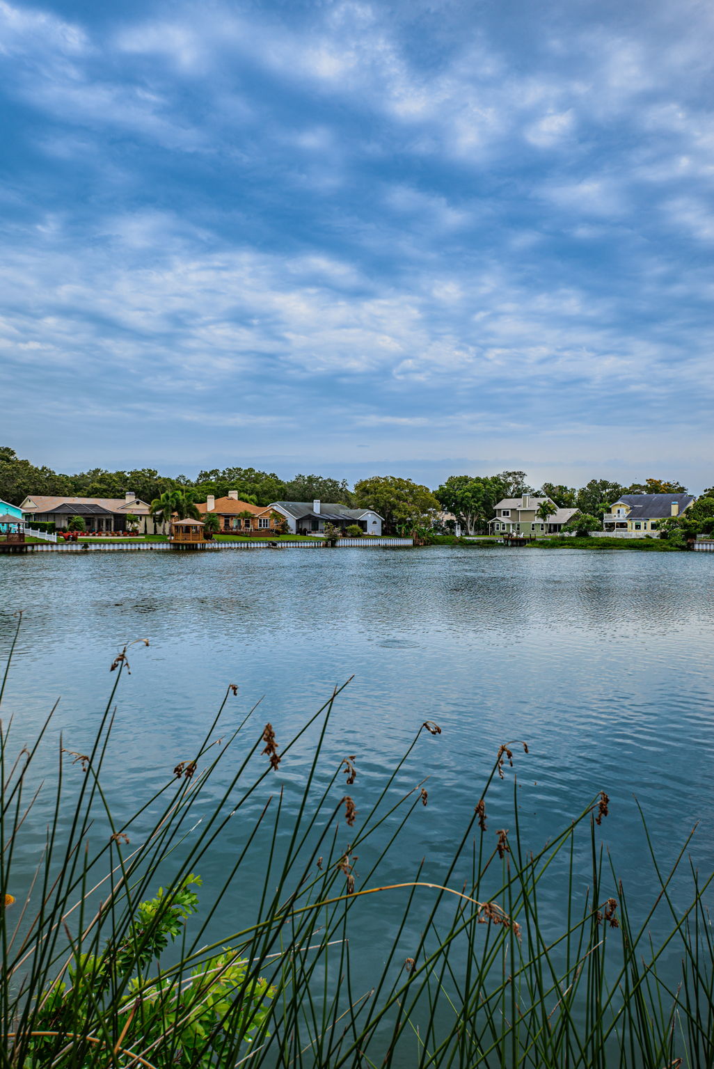 Water View 2