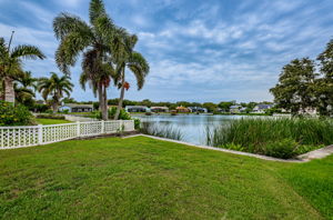 Backyard 1