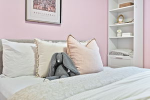  Photo 47