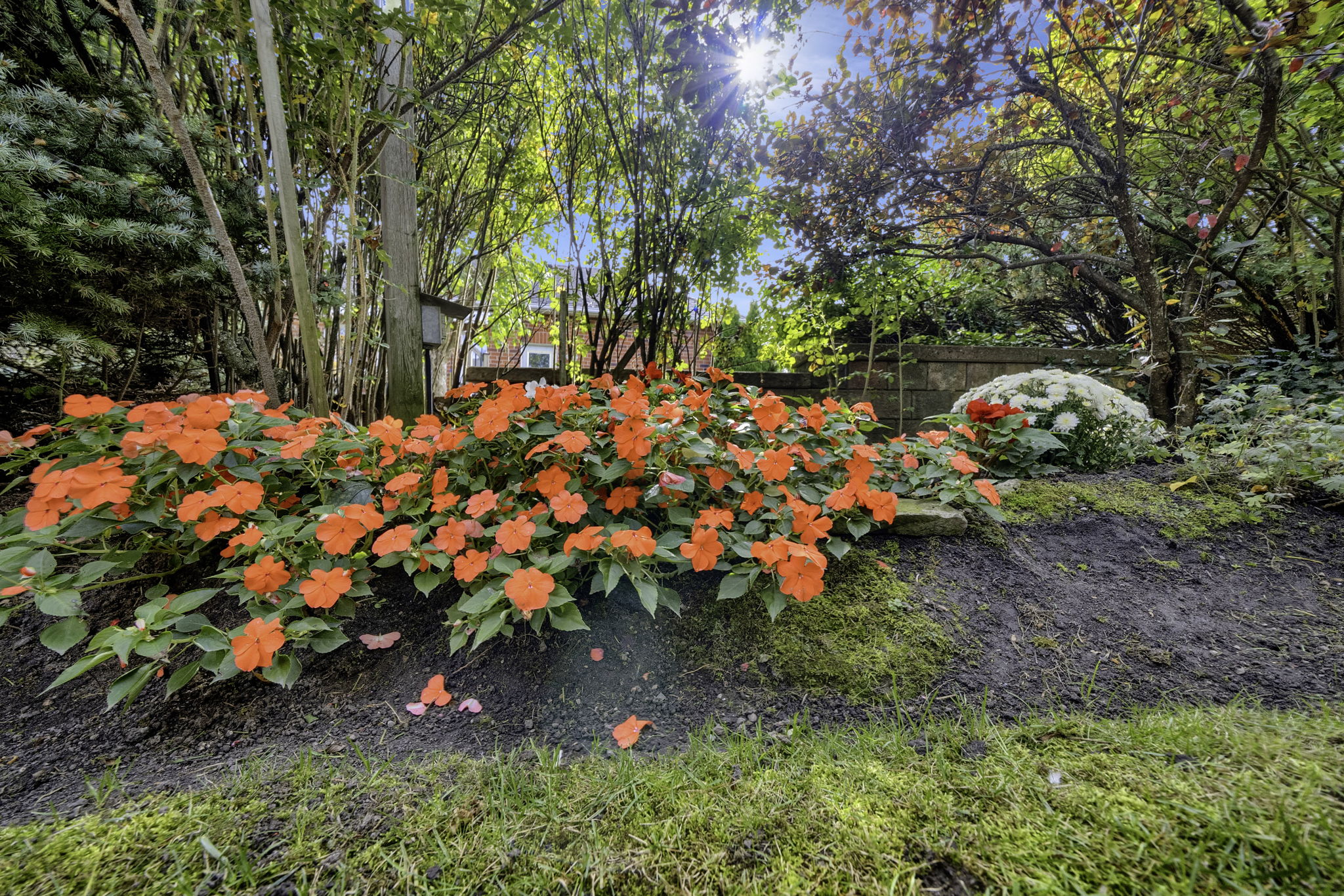  Photo 32