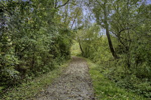  Photo 50