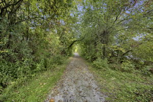  Photo 51