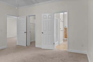 Main BR and walk in closet