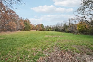 Carmel Rd-S0711-049.jpg