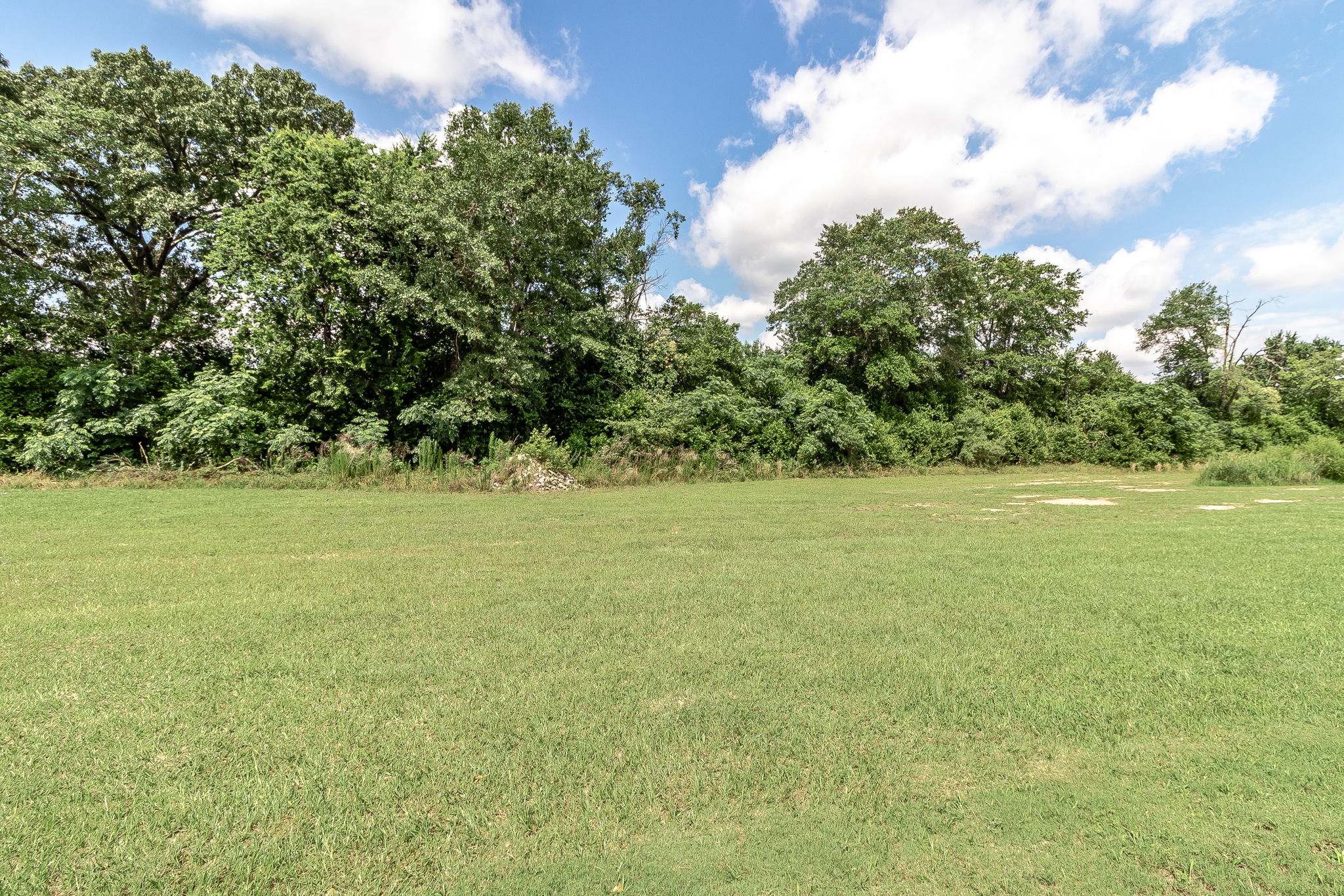 Green Space Behind Home