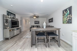 Dining/Living Room