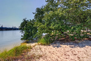 KAYAK FEET FROM YOUR FRONT DOOR