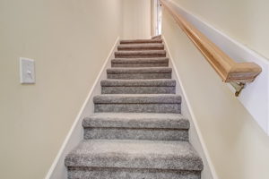 Let's Go Upstairs