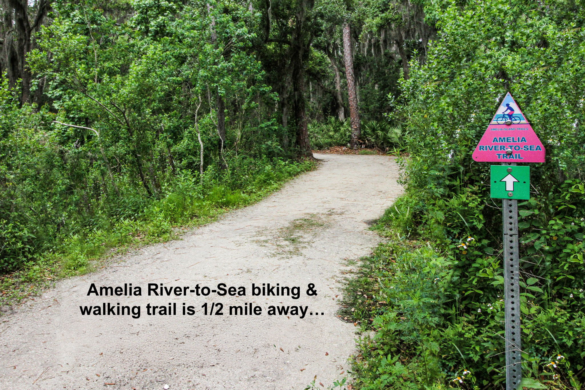 Homeowners enjoy easy access to the three mile Amelia River-to-Sea trail ...