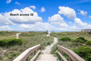 ... your gateway to the pristine beaches of Amelia Island ...