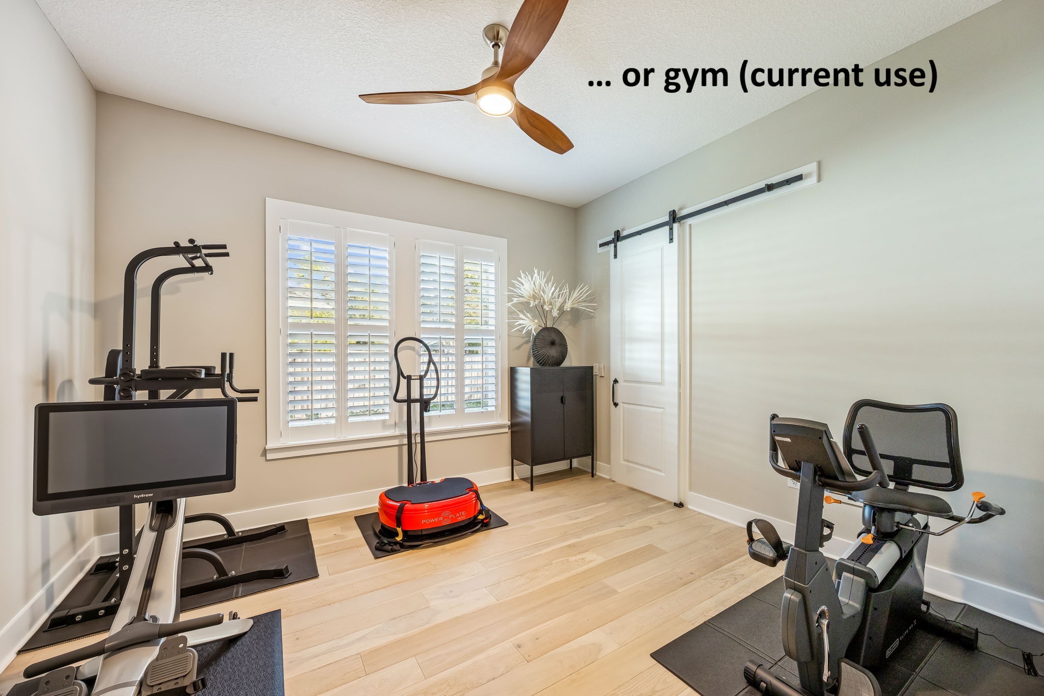 ... or wellness room (presently used as a home gym)