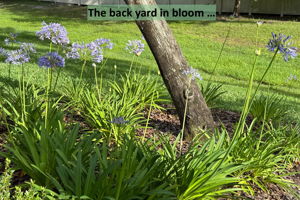 ... accented with carefully curated seasonal blooms