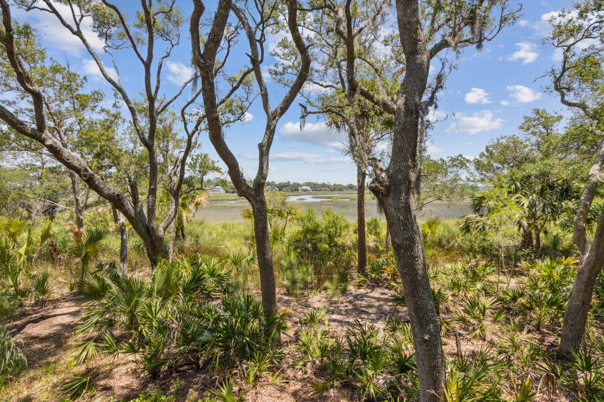 Brady Point Preserve