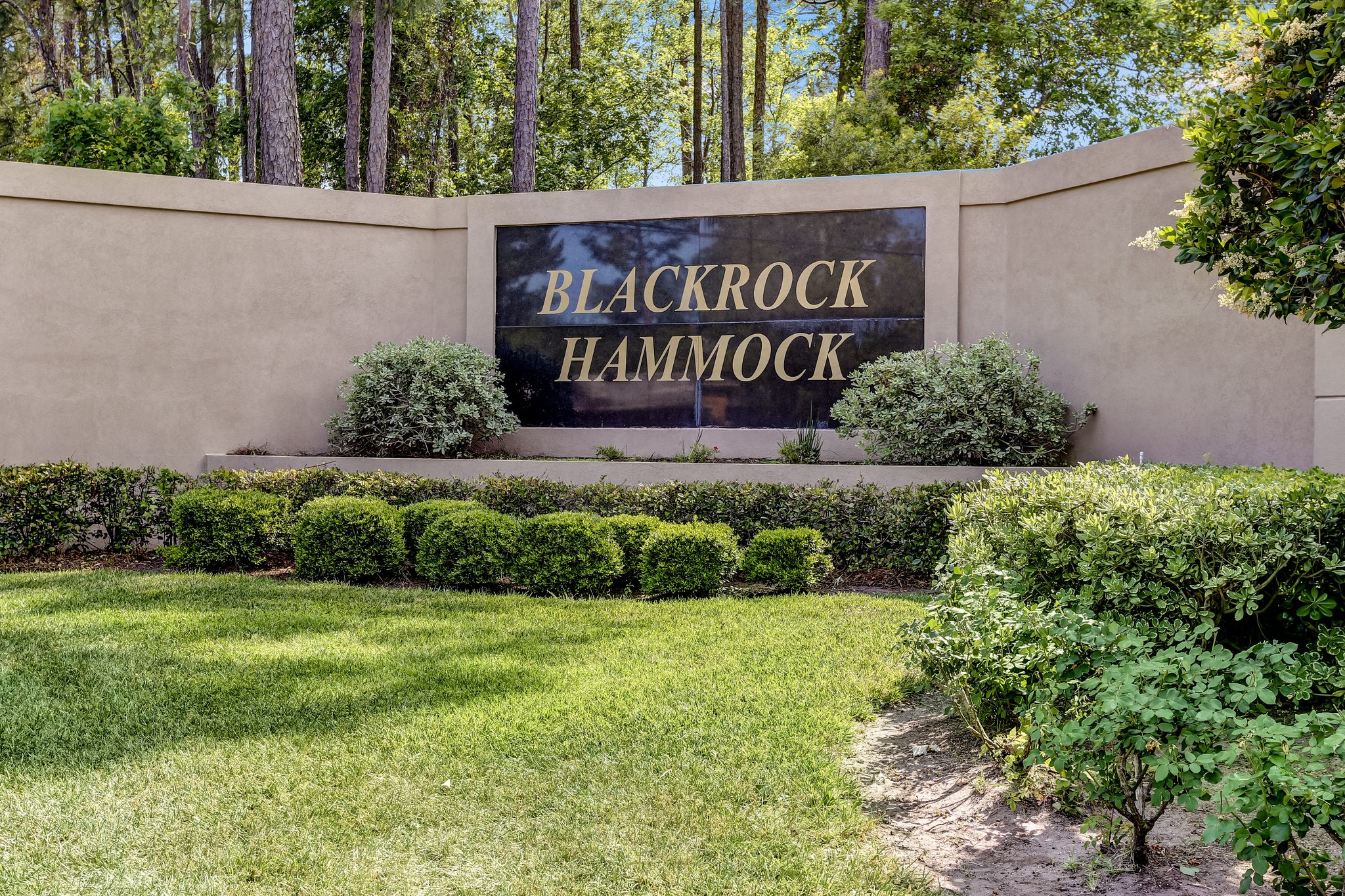 Blackrock Hammock