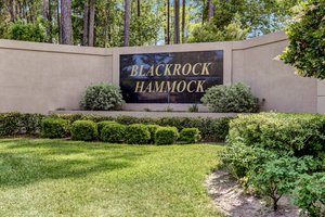 Blackrock Hammock