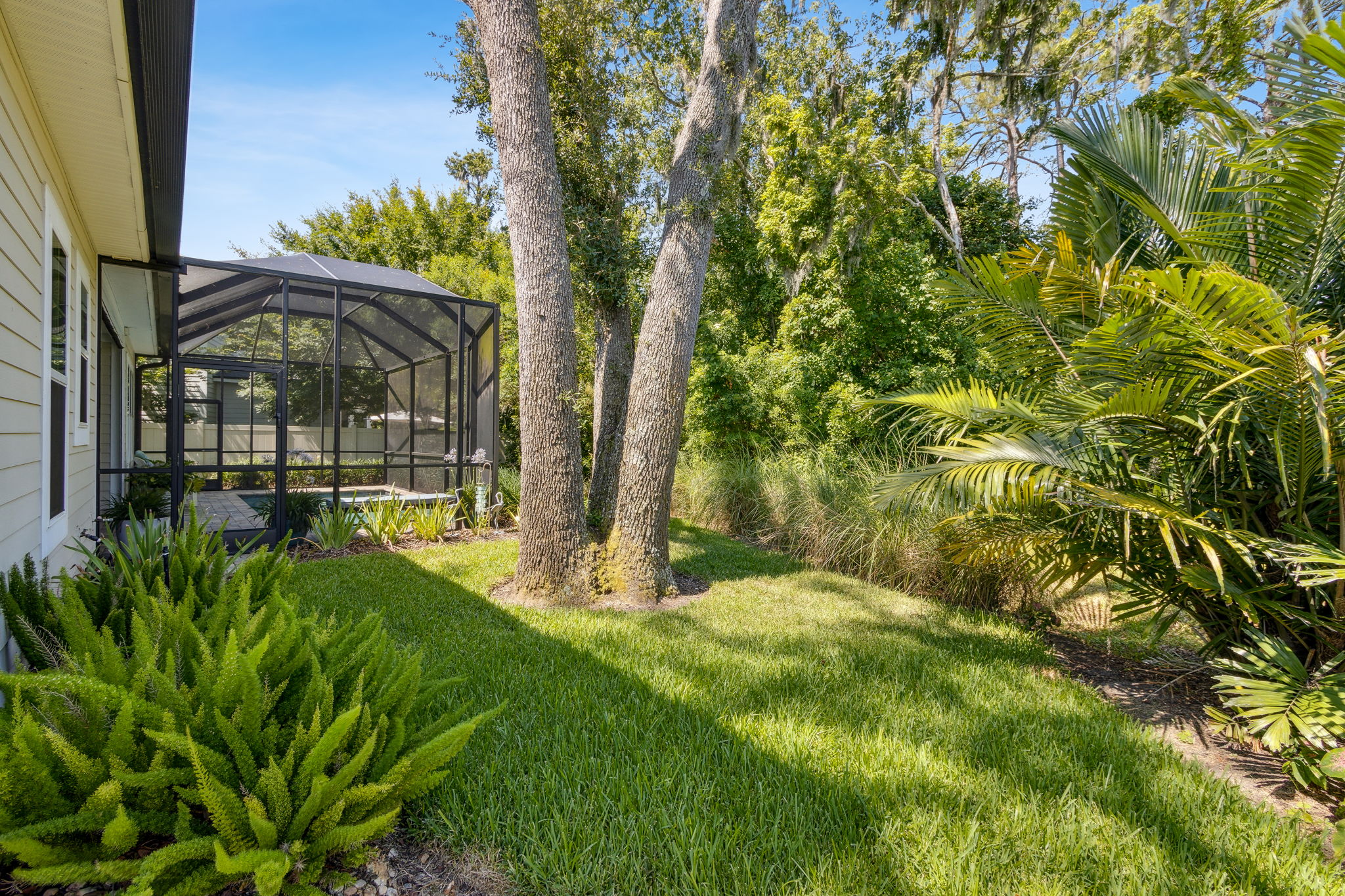 Backyard