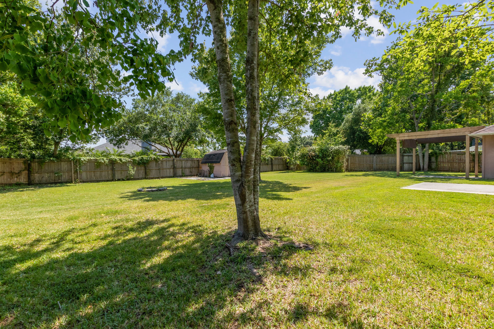 Backyard
