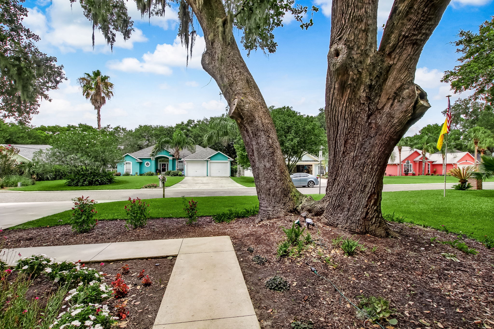 Front Yard