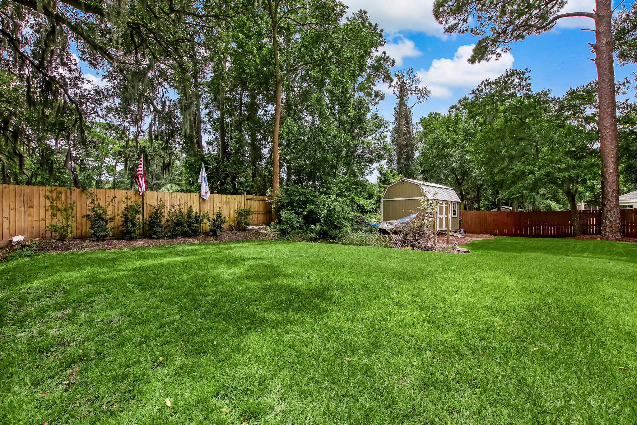 Backyard