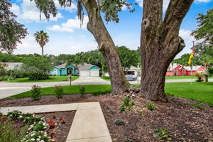 Front Yard