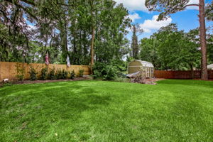 Backyard