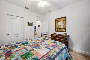 Guest Bedroom with Walk-in Closet