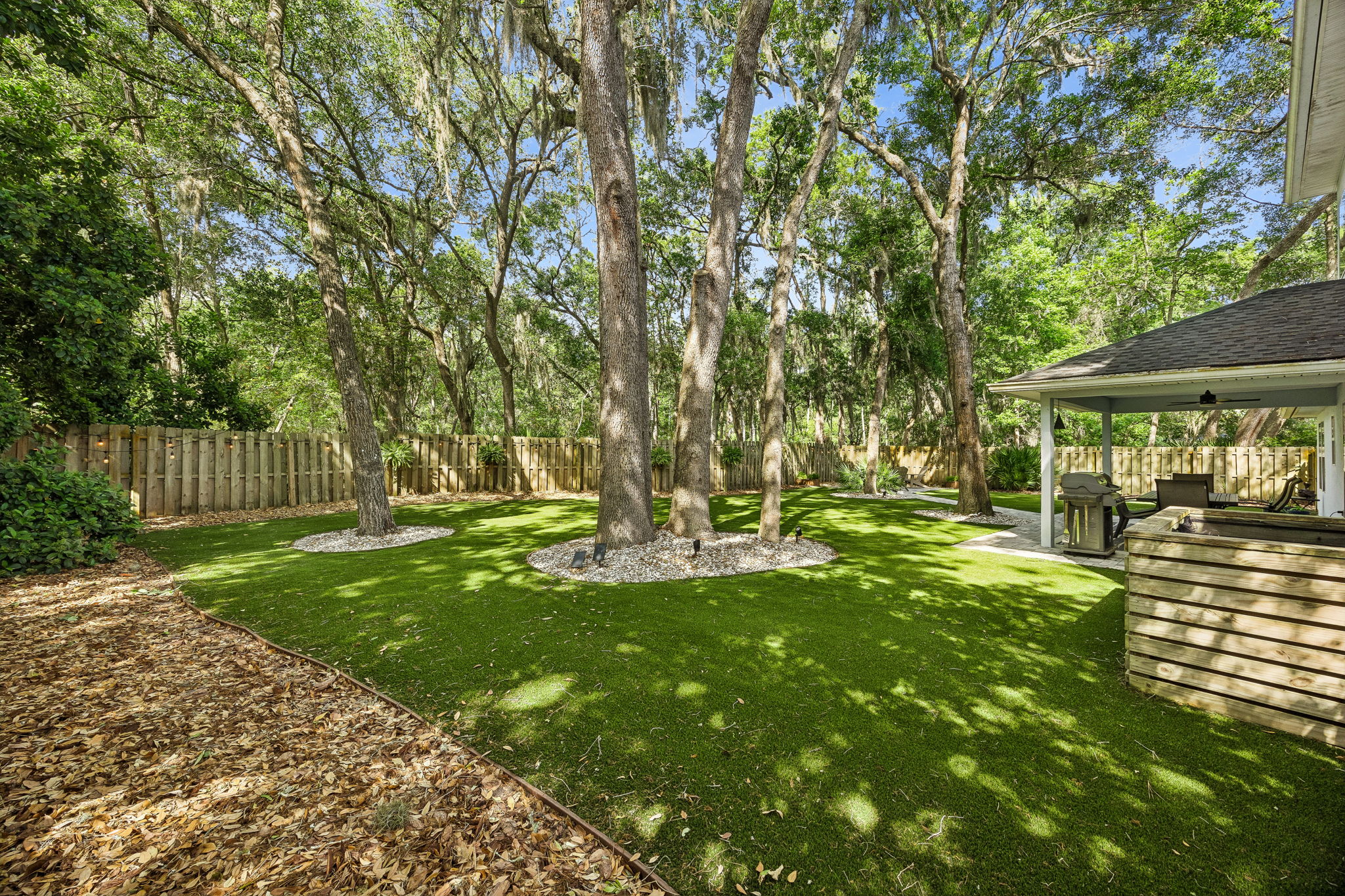 Backyard