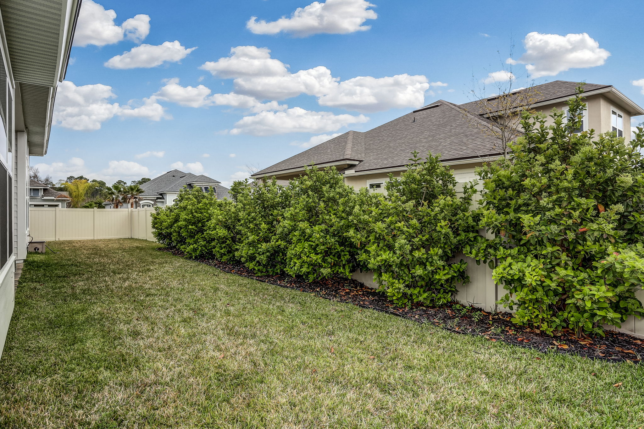Backyard