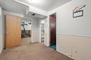 Basement bedroom and bath / closet