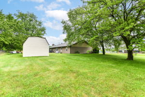 Side & Backyard