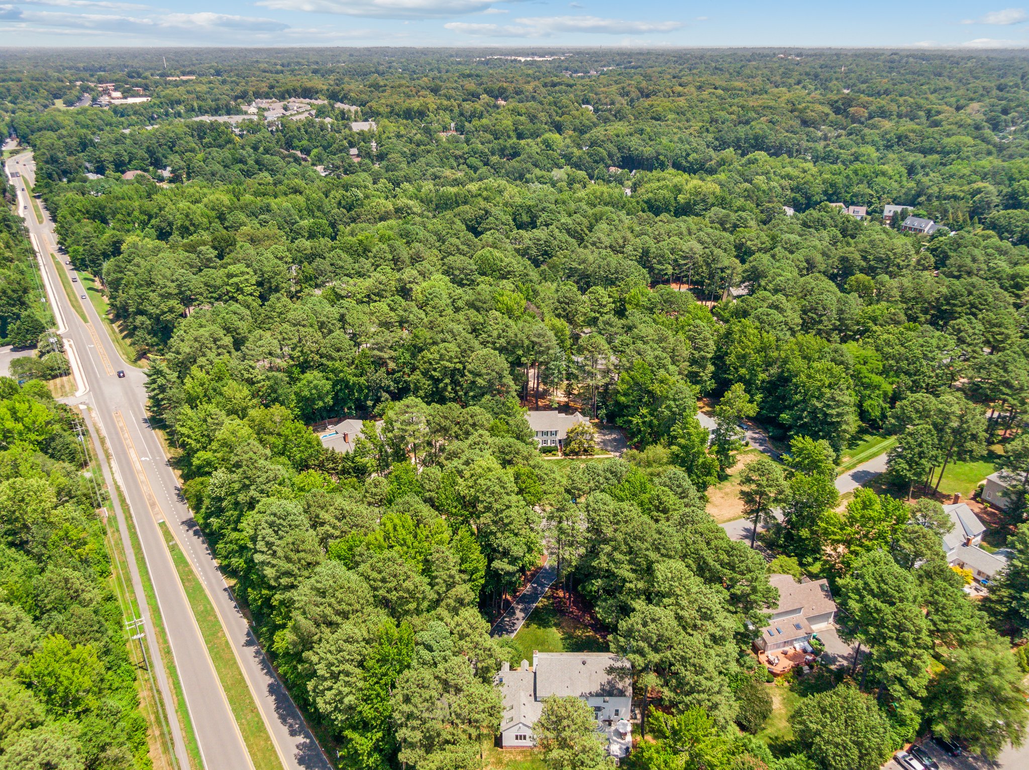 DJI_0877.jpg
