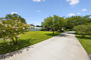 Driveway