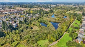 NE 87th Ave-S2409-072.jpg