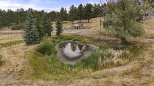  Photo 71