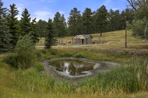  Photo 48