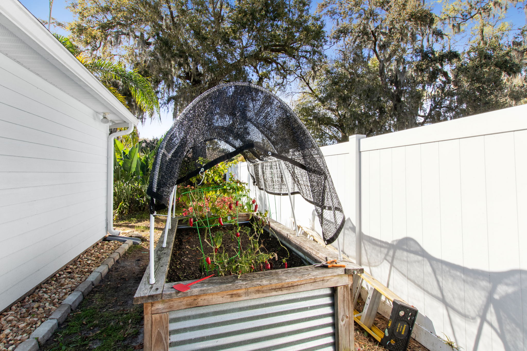 Raised Garden