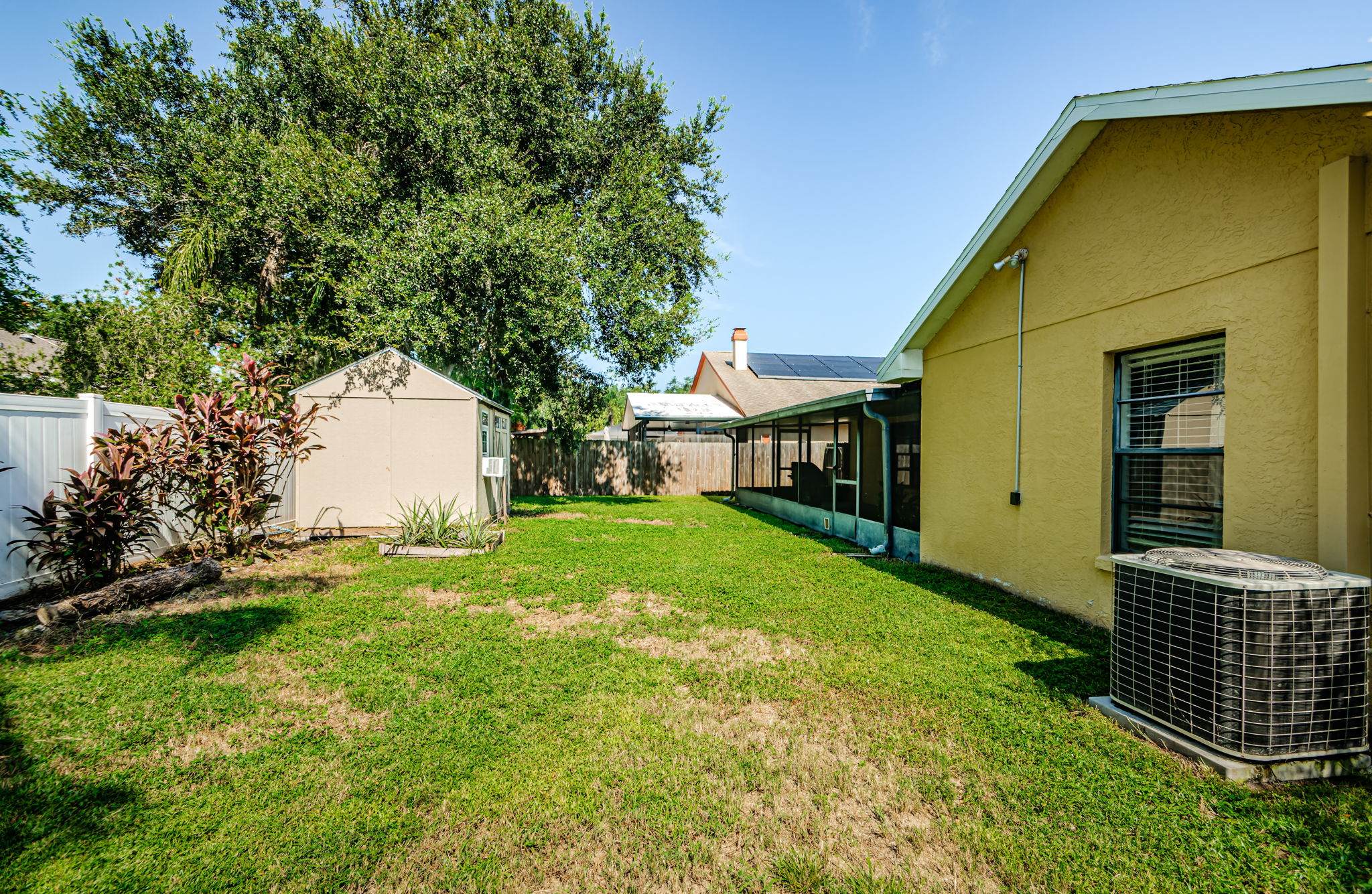 Backyard 1A