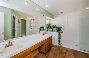 Primary Bathroom 1A