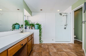 Primary Bathroom 1B-e
