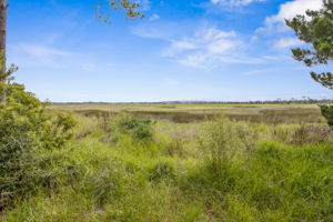 Marsh View