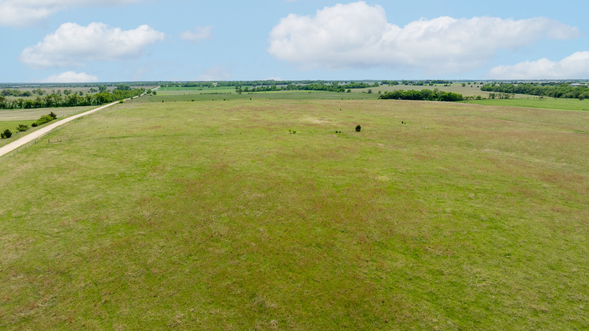  Photo 87