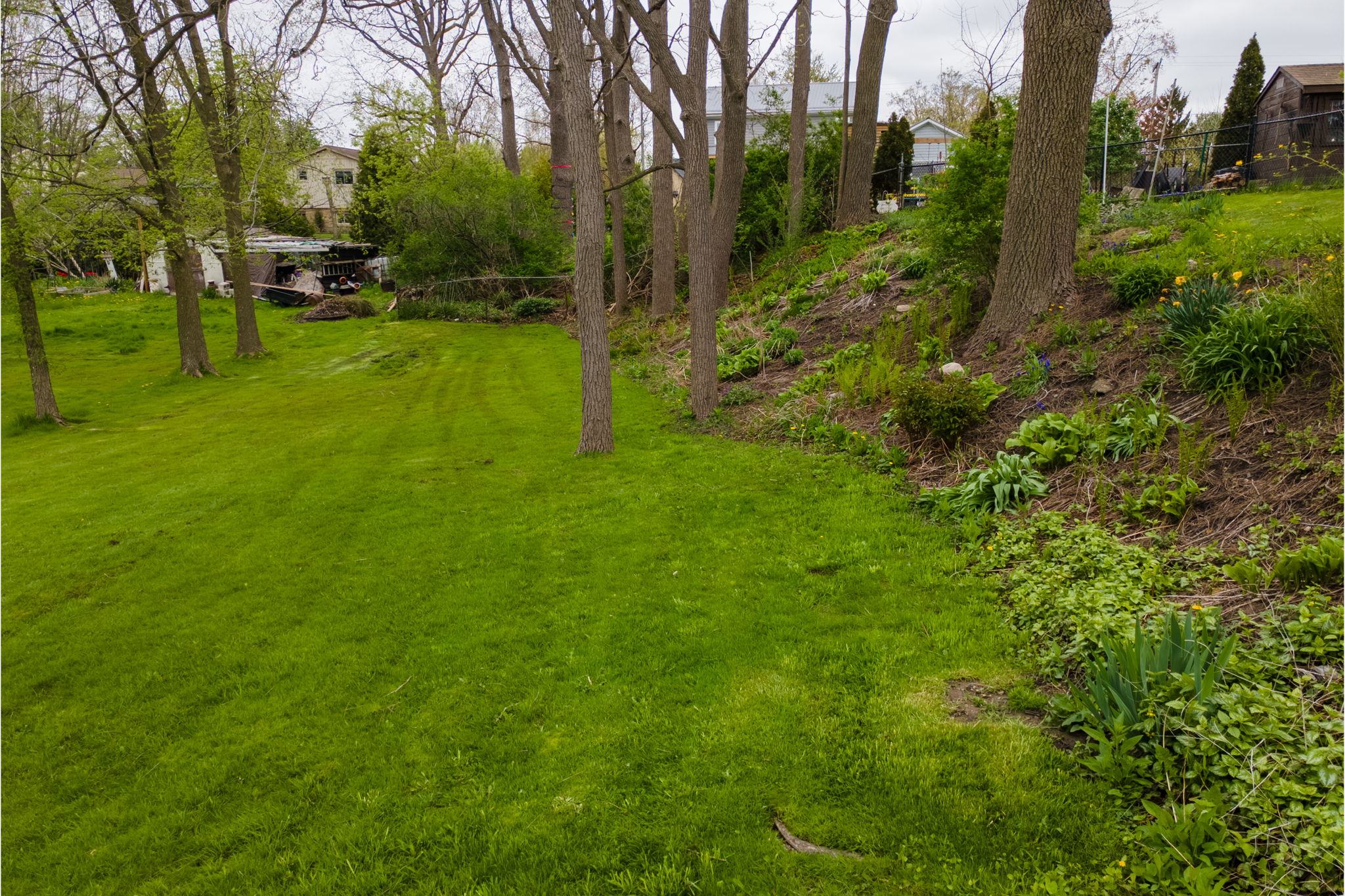  Photo 44