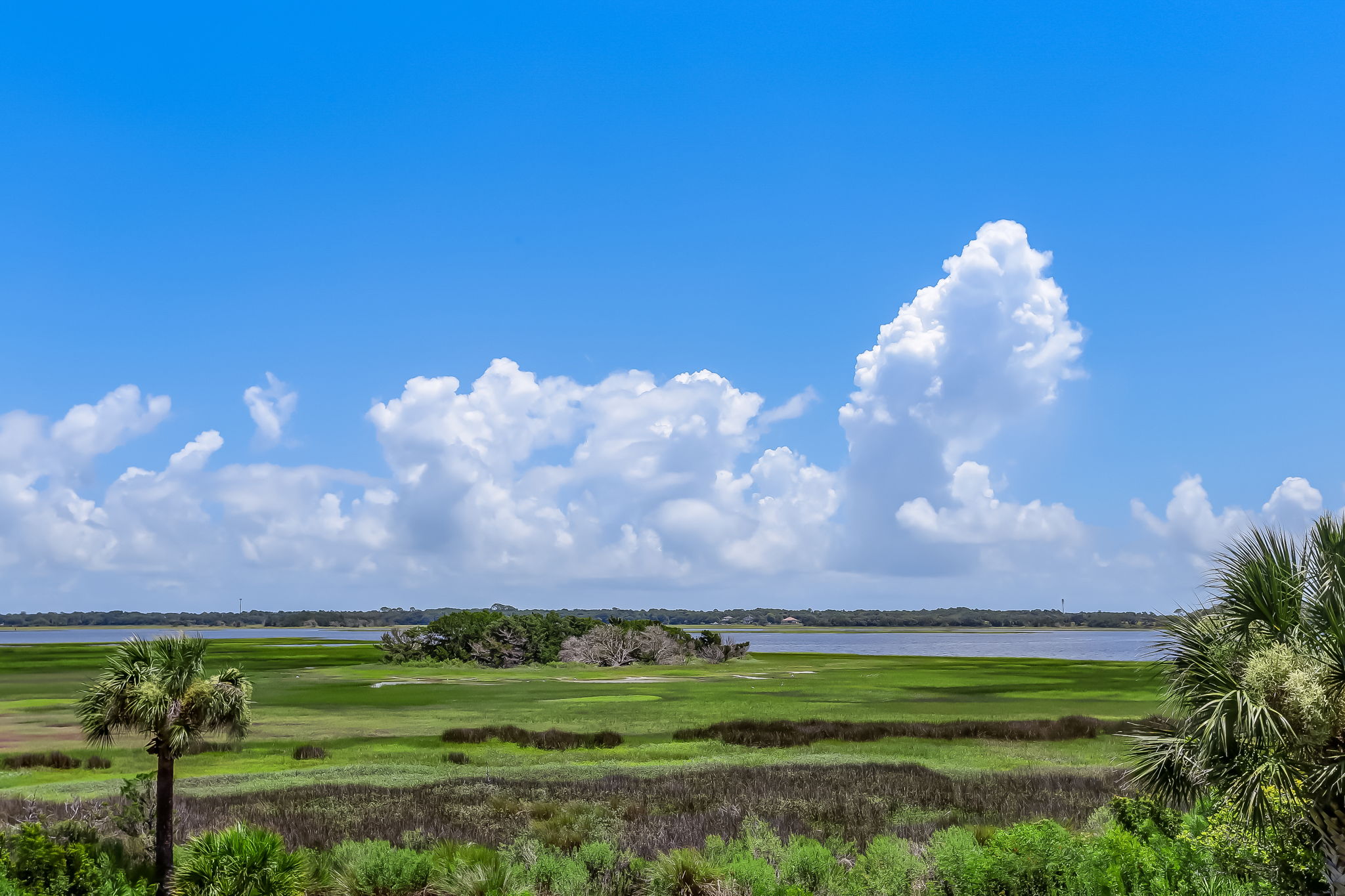 96196 Marsh Lakes Dr, Fernandina Beach, FL 32034 ECVT