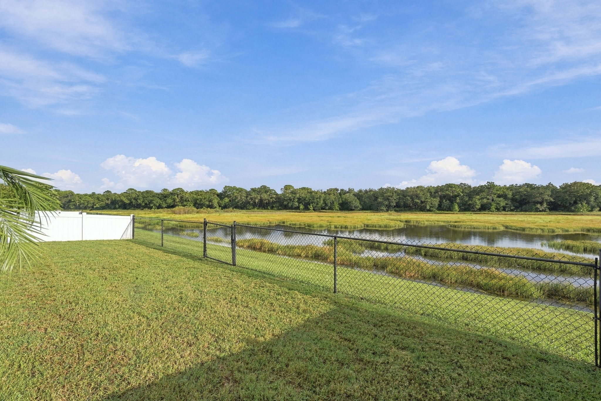 Fenced Backyard2