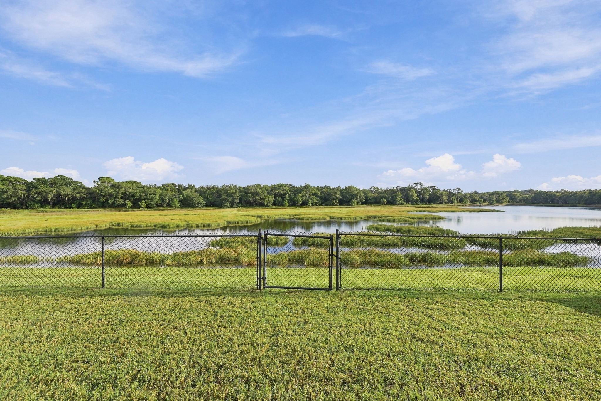 Fenced Backyard3