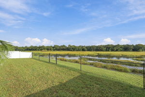 Fenced Backyard2