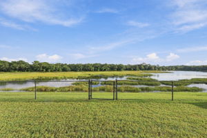 Fenced Backyard3