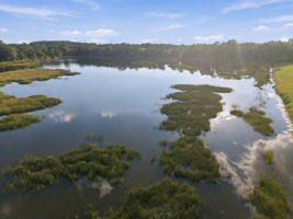 Aerial1 (26)