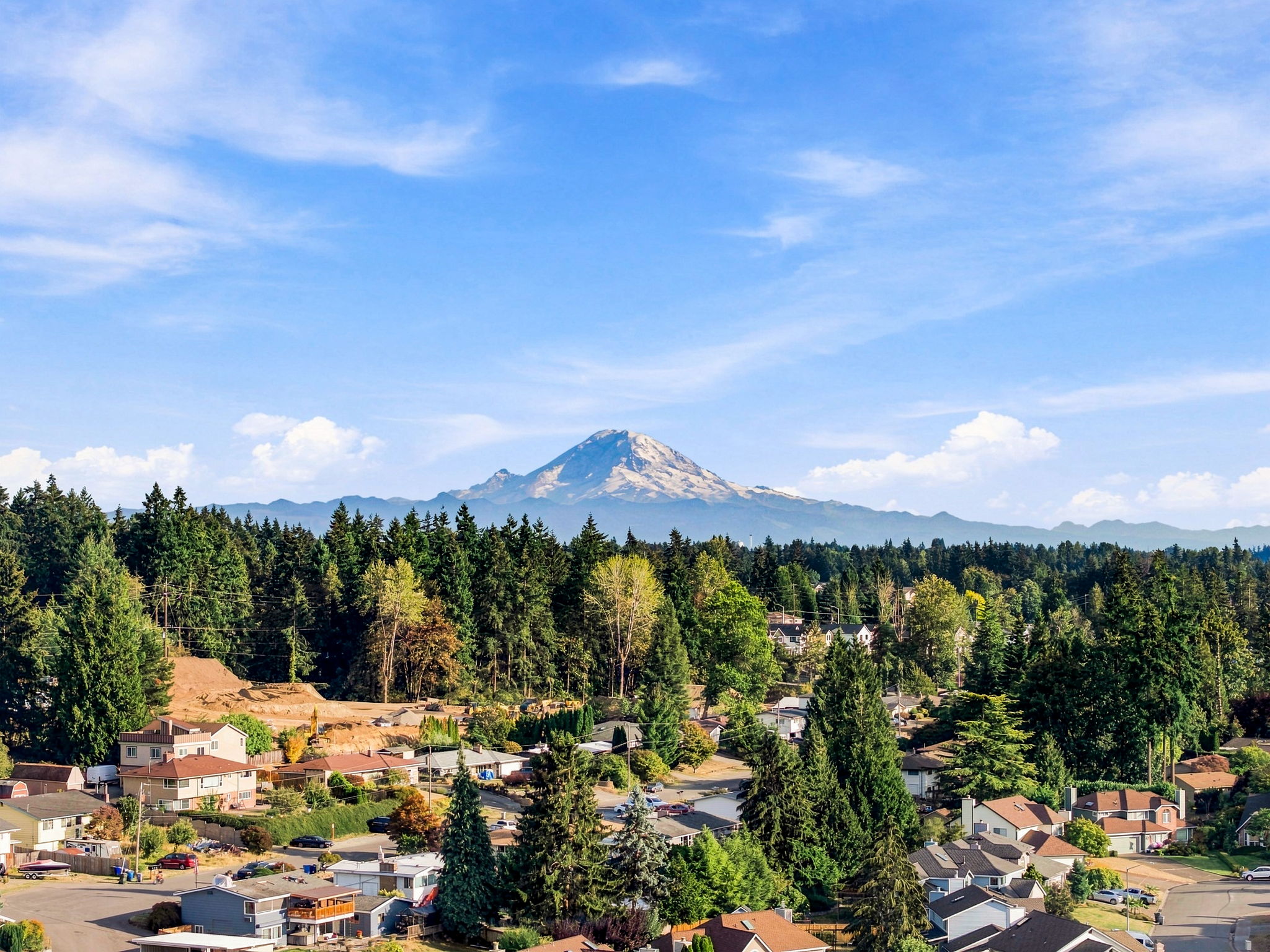 Olympic mountain view
