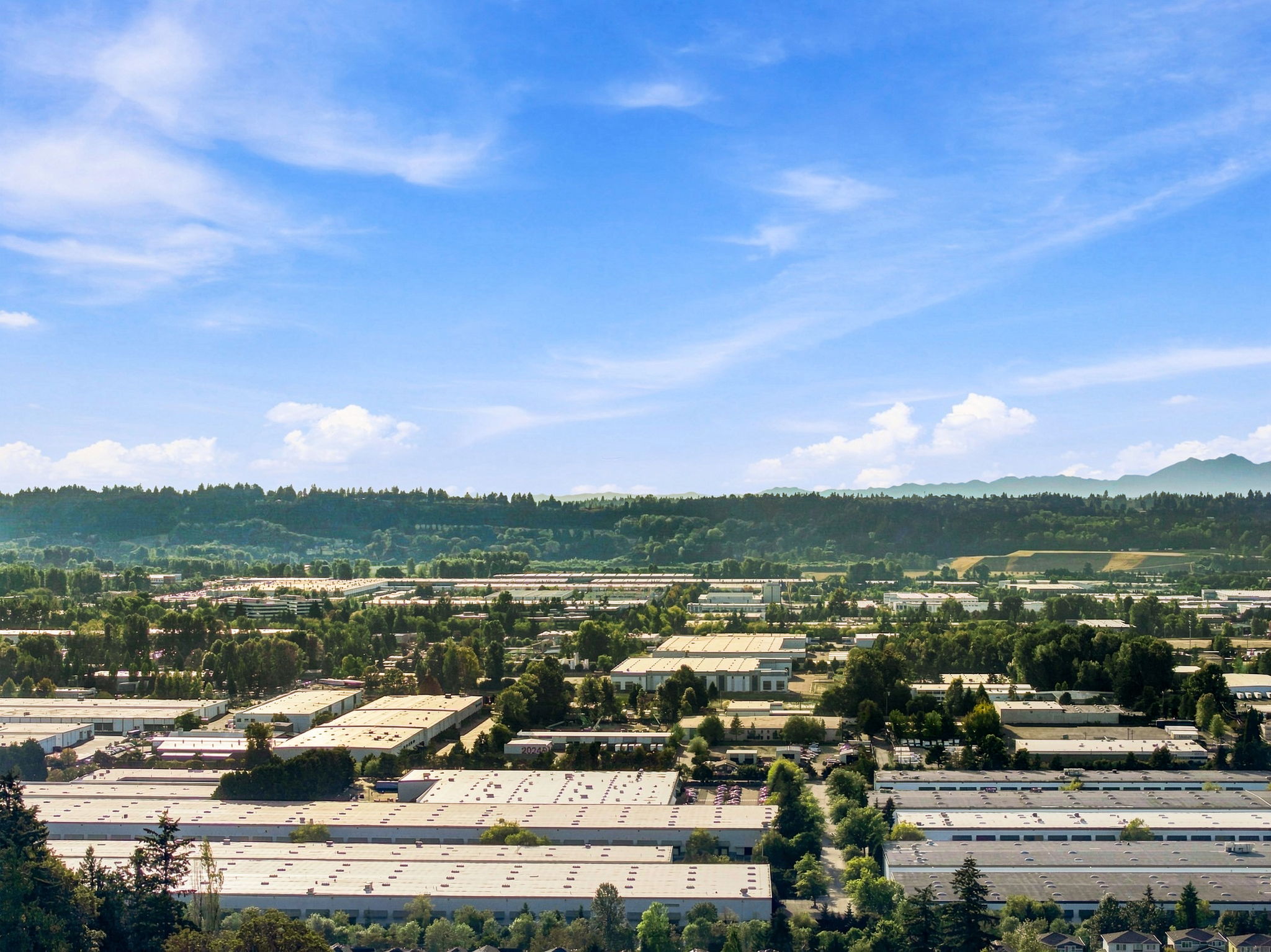 Olympic mountain view 2